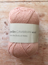 Load image into Gallery viewer, gwlân Cambrian Wool DK