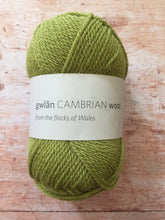 Load image into Gallery viewer, gwlân Cambrian Wool DK