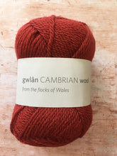 Load image into Gallery viewer, gwlân Cambrian Wool DK