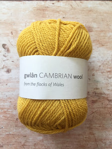 gwlân Cambrian Wool DK