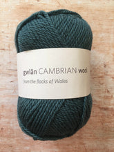 Load image into Gallery viewer, gwlân Cambrian Wool DK