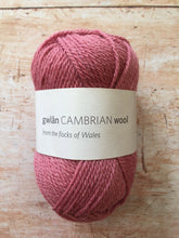 Load image into Gallery viewer, gwlân Cambrian Wool DK