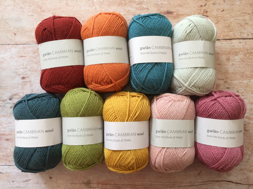 gwlân Cambrian Wool DK