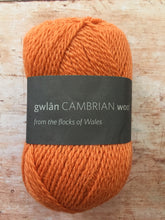Load image into Gallery viewer, gwlân Cambrian Wool 4 ply
