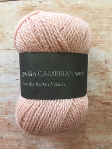 gwlân Cambrian Wool 4 ply