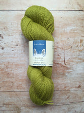 Load image into Gallery viewer, Doulton Border Leicester 4 ply