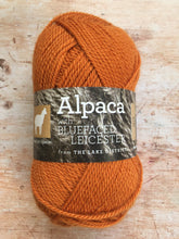 Load image into Gallery viewer, Town End Alpacas - Morecambe DK