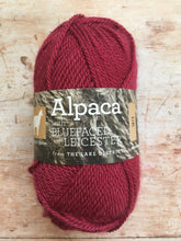Load image into Gallery viewer, Town End Alpacas - Morecambe DK