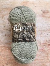 Load image into Gallery viewer, Town End Alpacas - Morecambe DK