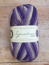 Load image into Gallery viewer, WYS Signature 4 ply Sock Yarn