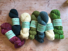 Load image into Gallery viewer, Northern Yarn - Kerry Hill