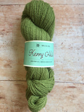 Load image into Gallery viewer, Northern Yarn - Kerry Hill
