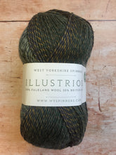 Load image into Gallery viewer, WYS Illustrious - Colours