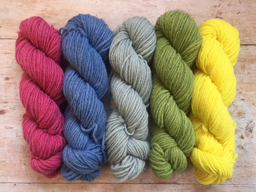 Northern Yarn - Lynn DK - hand dyed by Pook