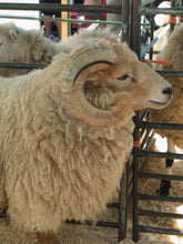 Load image into Gallery viewer, Armscote Manor Yarn