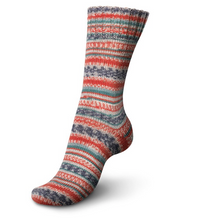 Load image into Gallery viewer, Regia - Colour &amp; Design Line (Arne &amp; Carlos) - 4 ply Sock Yarn