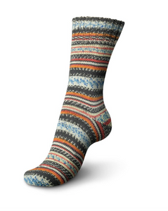 Regia - Design Line by Arne & Carlos - 6 ply Sock Yarn