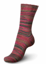 Load image into Gallery viewer, Regia - 6 ply Sock Yarn