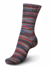 Load image into Gallery viewer, Regia - 6 ply Sock Yarn