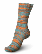 Load image into Gallery viewer, Regia - 6 ply Sock Yarn