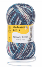 Load image into Gallery viewer, Regia - 6 ply Sock Yarn