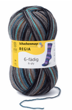 Load image into Gallery viewer, Regia - 6 ply Sock Yarn