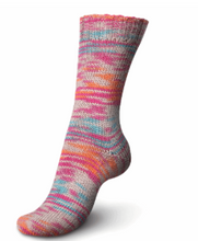 Load image into Gallery viewer, Regia - 6 ply Sock Yarn