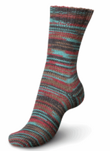 Load image into Gallery viewer, Regia - 6 ply Sock Yarn