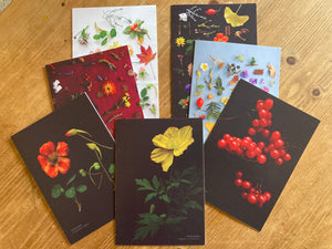 Greeting Cards from The Sewing Café